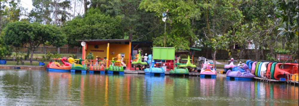 Terpopuler Wisata Alam Mayang Pekanbaru